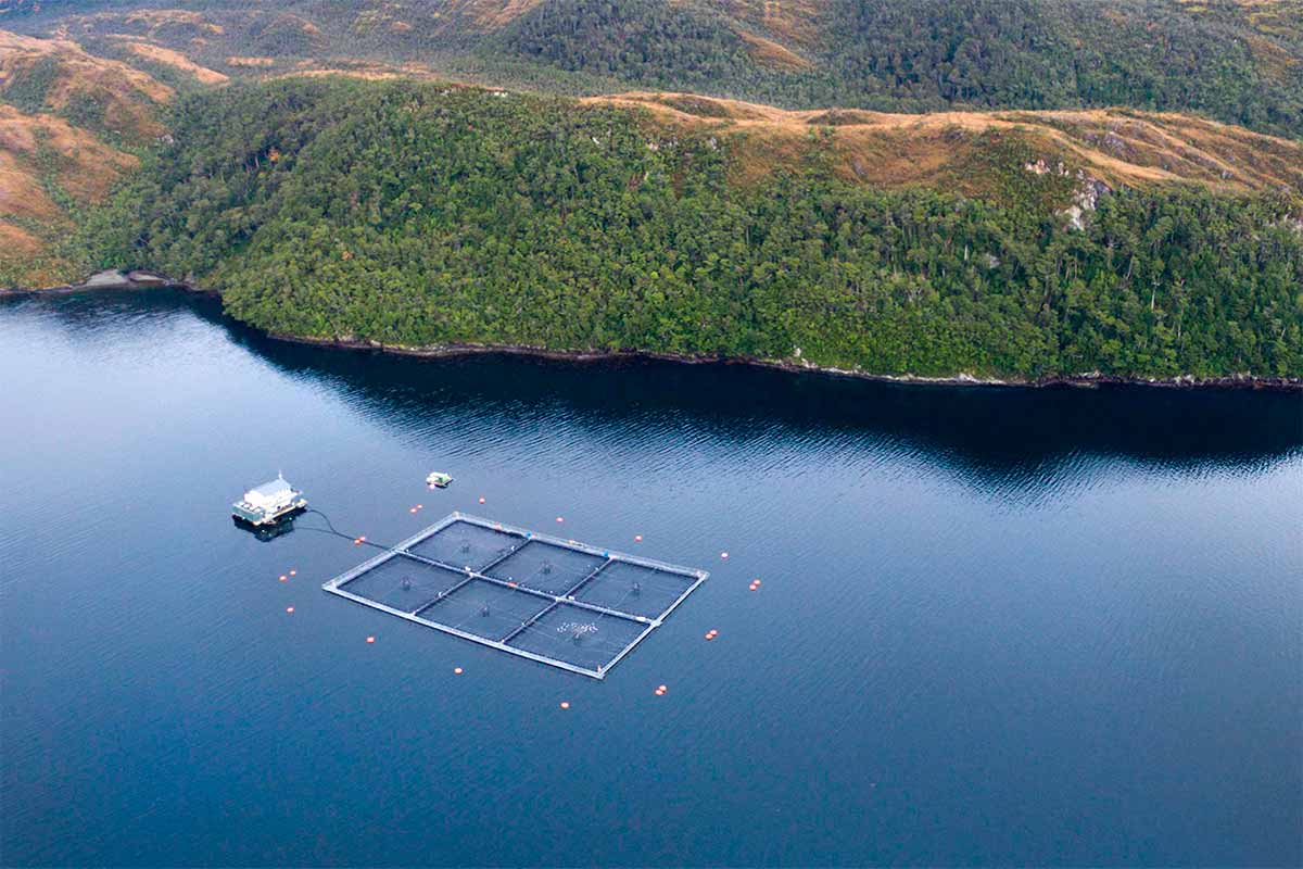 Querella contra Nova Austral
