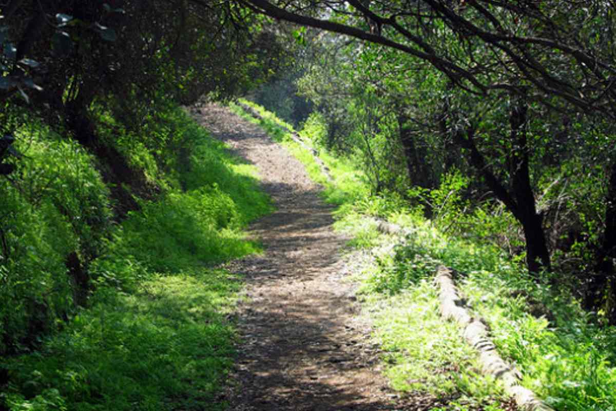 Nuevo parque para La Florida