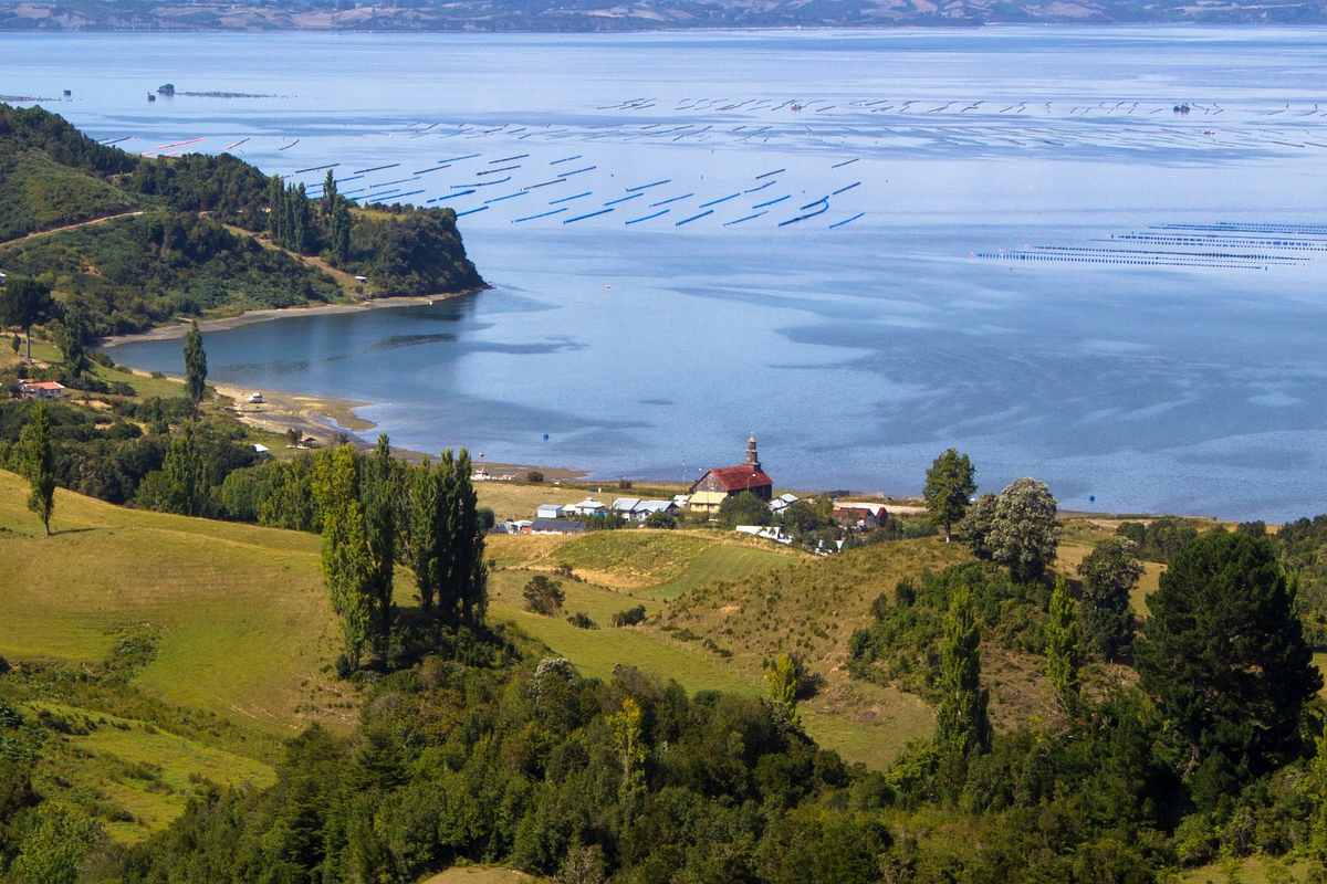 Proyecto Tineo Nueva Ancud