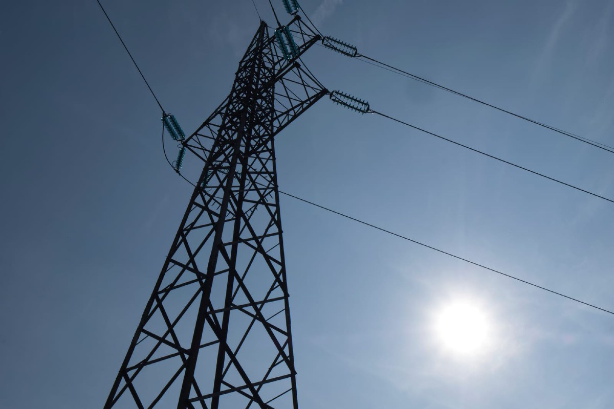 Transmisión energética paola basaure transelec