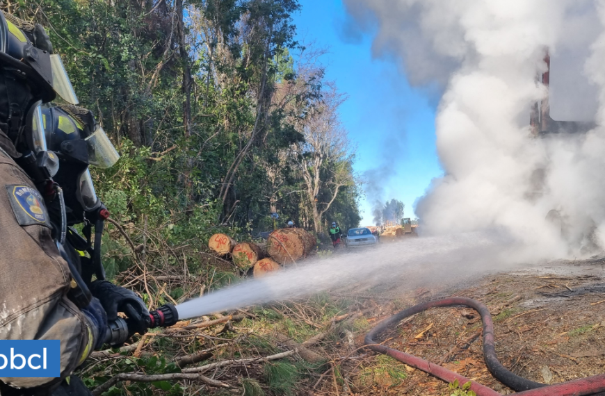 Incendios Forestales La AraucanÃa: Alerta Amarilla Activada