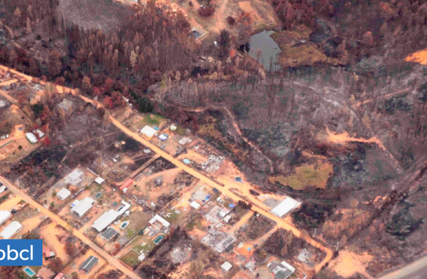 Incendios Forestales BÃo BÃo: Alerta Roja en Hualqui