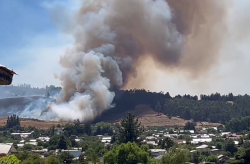 Incendios Forestales en Chile: Declaraciones de Gabriel Boric