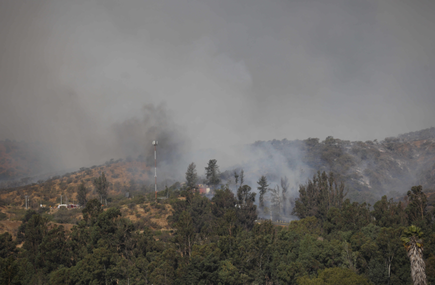 Incendio Forestal Lebu: Alerta Amarilla Declarada