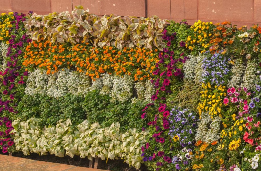 Jardinería Urbana: Cultiva tu Propio Huerto en Casa