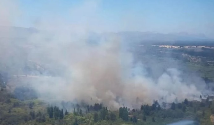 Incendio forestal Tucapel: Se declara Alerta Roja