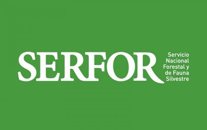 Sernafor: Nueva Institucionalidad Forestal en Chile