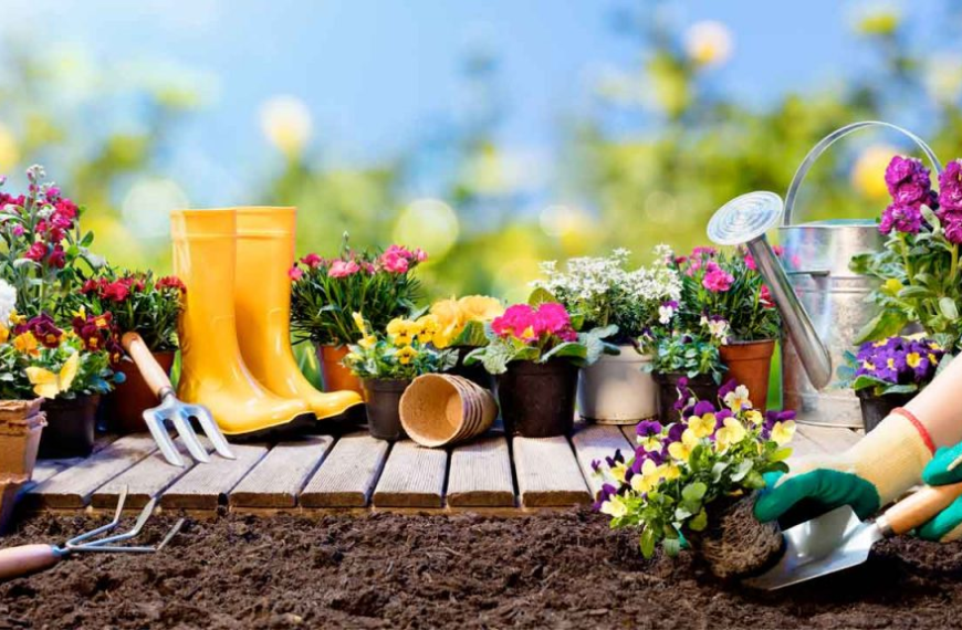 Consejos de JardinerÃa: Cómo Cultivar un JardÃn Exitoso