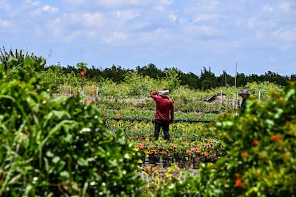 Contratación irregular en La Florida: El caso de Morán