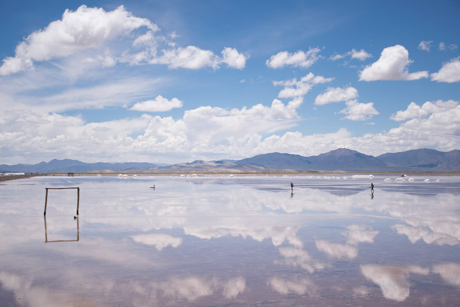 Inversiones Chinas en Chile: BYD y Tsingshan Mantienen Su Confianza