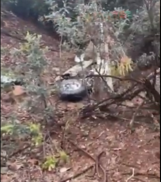 Accidente Aéreo CuracavÃ: Investigación en Progreso