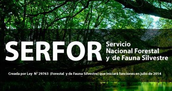 Servicio Nacional Forestal: Nueva Ley para la Protección de Bosques