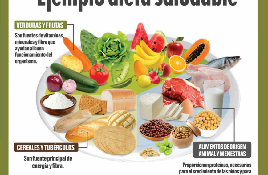 Dieta Saludable: Claves para una Vida Plena y Activa