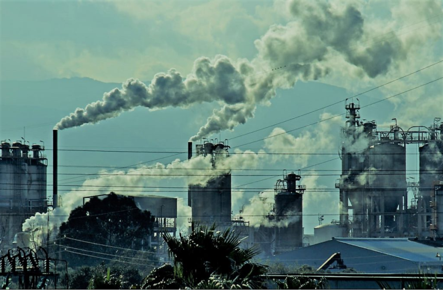 Ralentización del mundo: Reflexiones sobre la calma actual