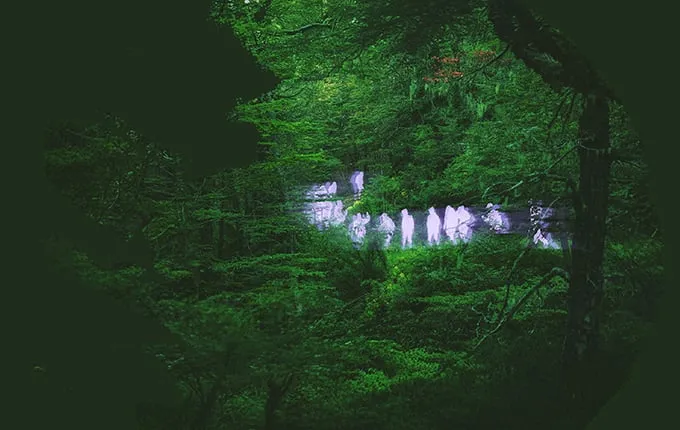 Residencias Bosque Pehuén: Convocatoria para Artistas 2025