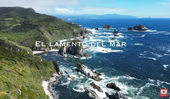 Documental sobre salmón: El lamento del Mar impactante