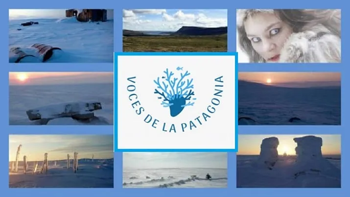 Conservación marina: Podcast sobre la Patagonia y el Ártico