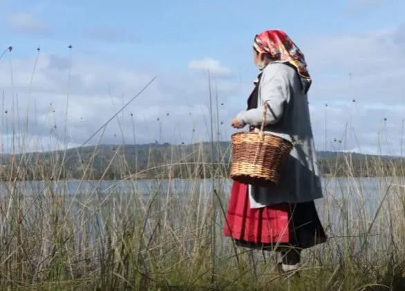 Comunidad Mapuche Ranquilhue denuncia persecución urgente
