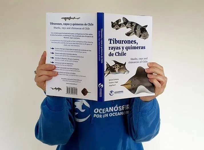 Tiburones en Chile: El primer libro de especies con detalles