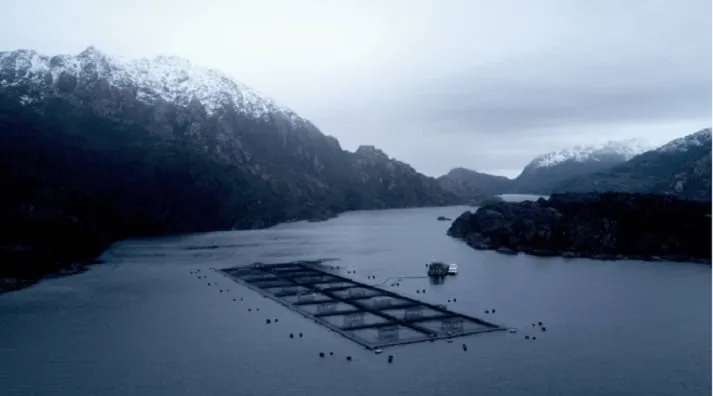 Perdonazo Salmonero: Beneficios y Controversias