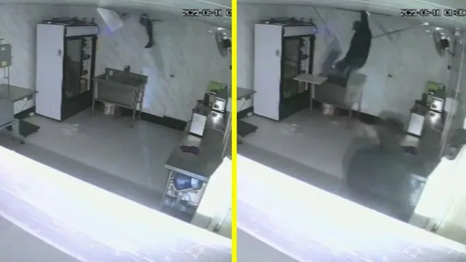 Robo en ValparaÃso: Delincuente atrapado en carnicerÃa