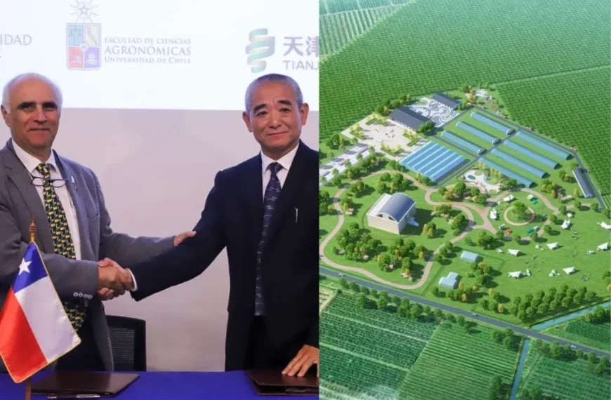 Granja Demostrativa Chile-China: Innovación y Cooperación