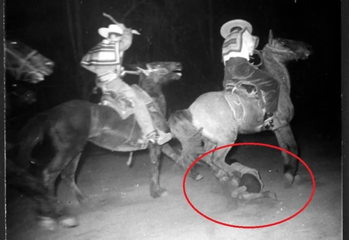 Rodeo y maltrato animal: Una tradición cuestionada en Chile