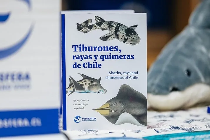 Tiburones, rayas y quimeras de Chile: conservación