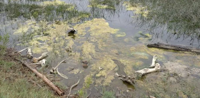 Museo del Limarí: Reflexionando sobre la Historia