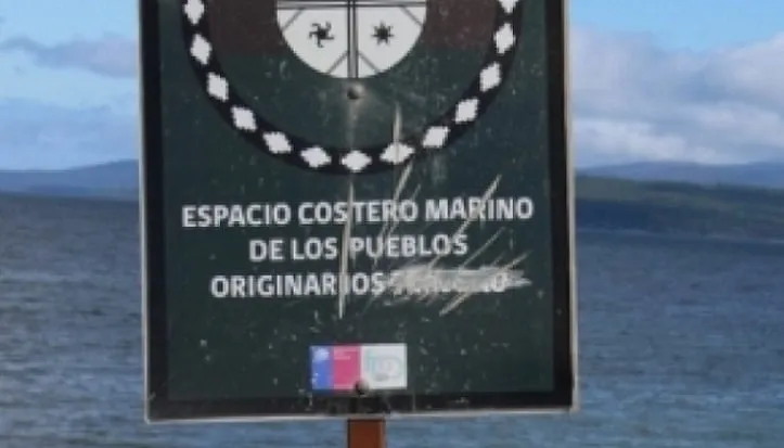 Espacios Costeros Marinos: Solo 13 de 28 Funcionan en Chile
