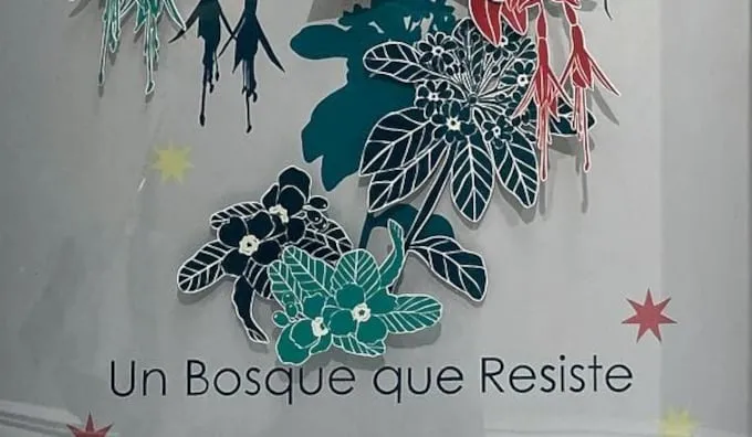Naturaleza Hiperbólica: la Exposición de Pía Aldana