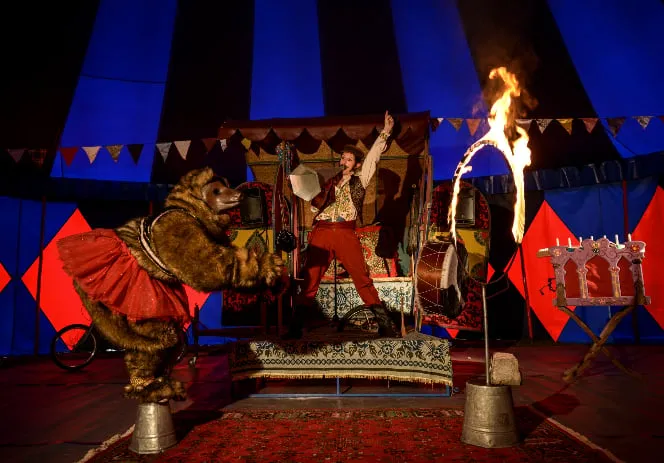 Jallalla Festi Circo Arica: diez días de circo gratuito