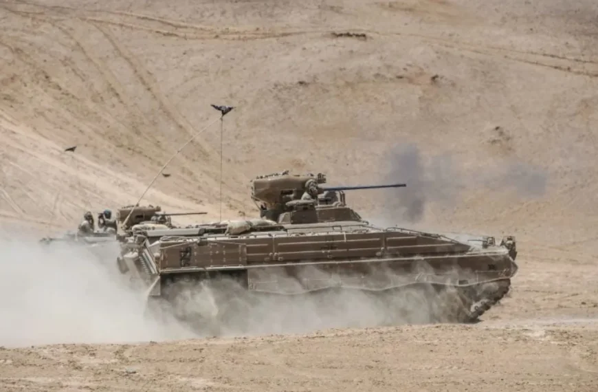 Carros Marder: ¿Una venta rentable para Chile?