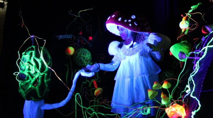 La Reina Fungi: Un Espectáculo Familiar en Valparaíso