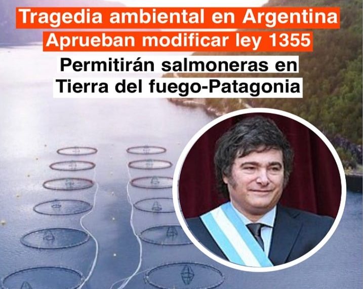 Patagonia Argentina: ¿Una Tragedia Ambiental Inminente?