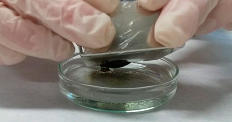 Material absorbente de petróleo: Innovación ecológica