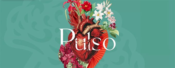 Flamenco Contemporáneo: Pulso, Celebración Femenina Poderosa