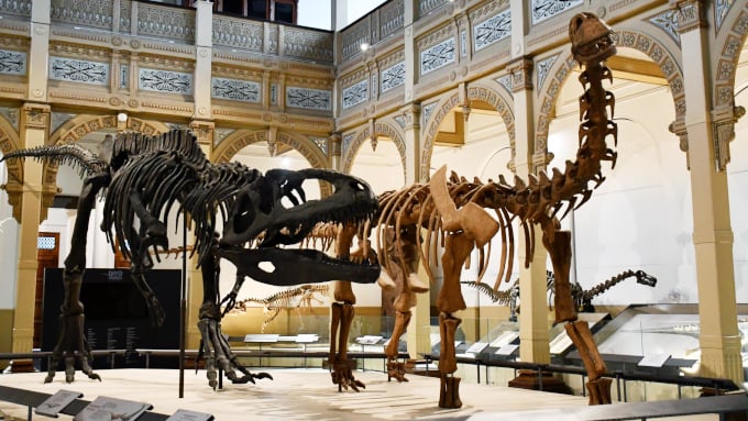 Dinosaurios del Sur del Mundo: Un Viaje al Pasado en Santiago