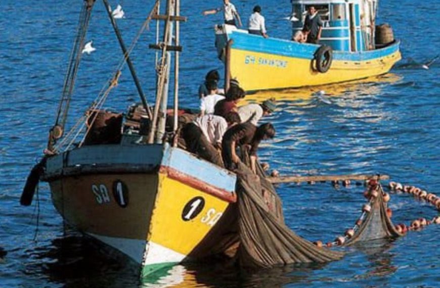 Pesca Artesanal en Chile: Un Nuevo Comienzo en 2026