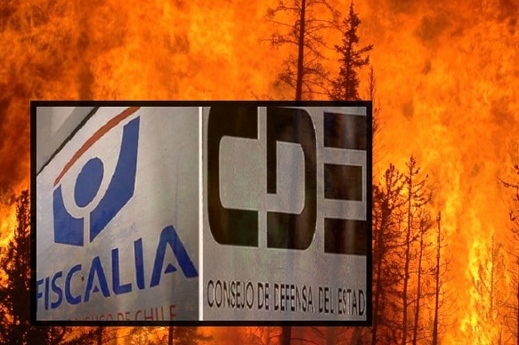 Incendios forestales Chile: ¿El Estado ignora su responsabilidad?