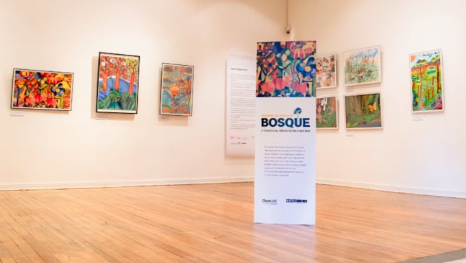 Exposición Inclusiva: Colores de Nuestro Bosque y la Creatividad Artística