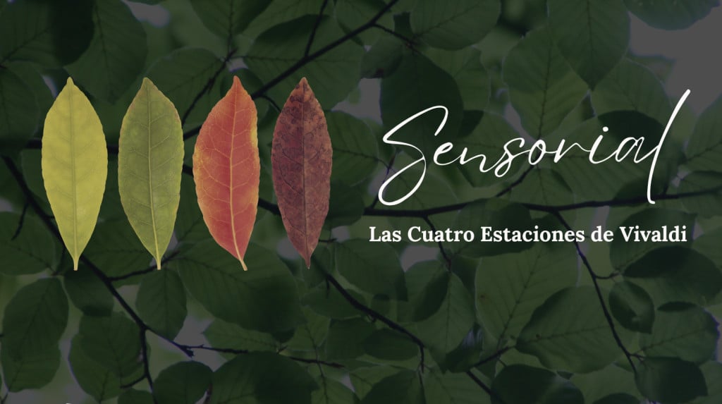 Sensorial: Las Cuatro Estaciones de Vivaldi asombra en Coquimbo