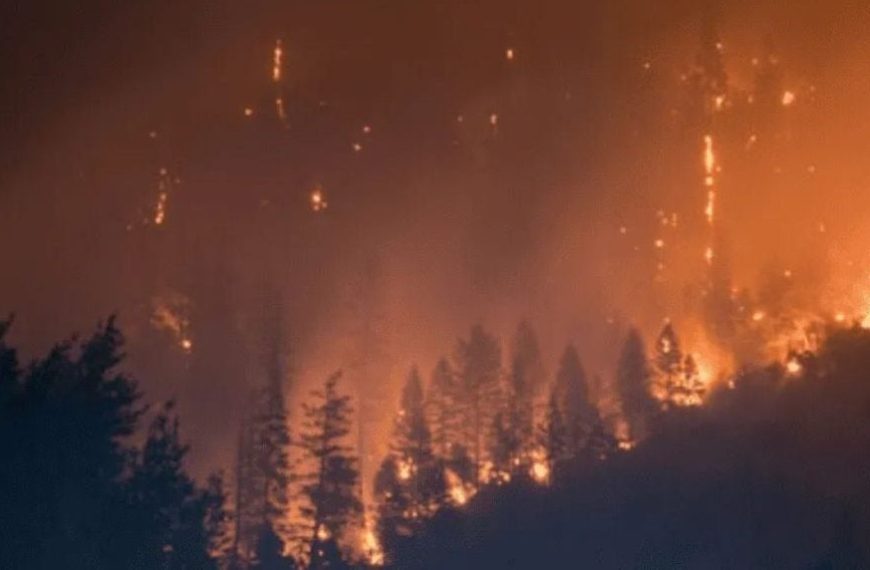 Incendios forestales: Últimas noticias sobre las víctimas en Biobío