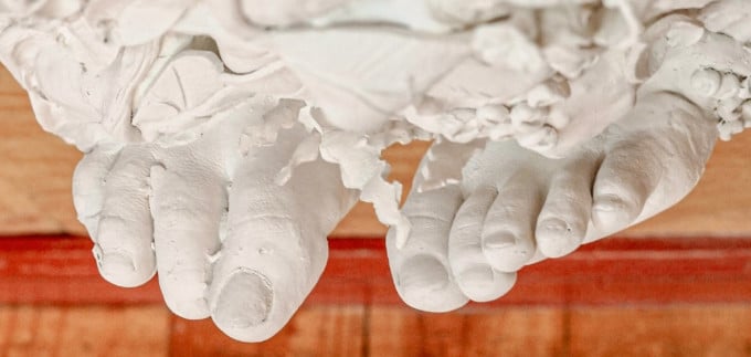 Exposición Hibridaciones y Bioficciones: Arte y Naturaleza Sin Fronteras