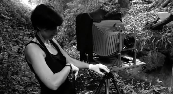 Jardín Negro: La Reveladora Exposición de Fernanda Larraín en Ñuñoa