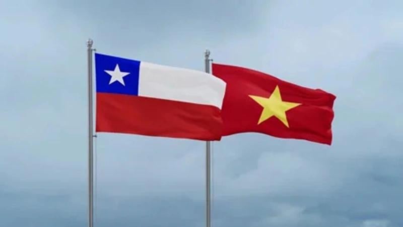 Relaciones Chile Vietnam: La Alianza Estratégica del Futuro
