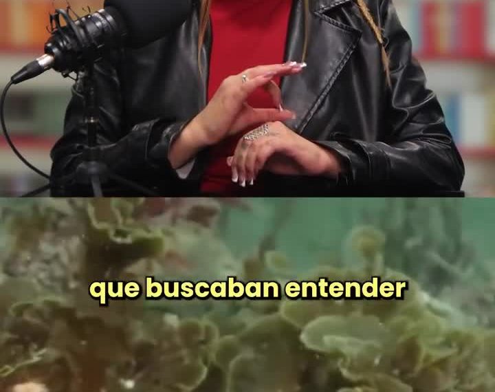 Alga Inusual: Revelaciones Sorprendentes de Biodiversidad en Chile