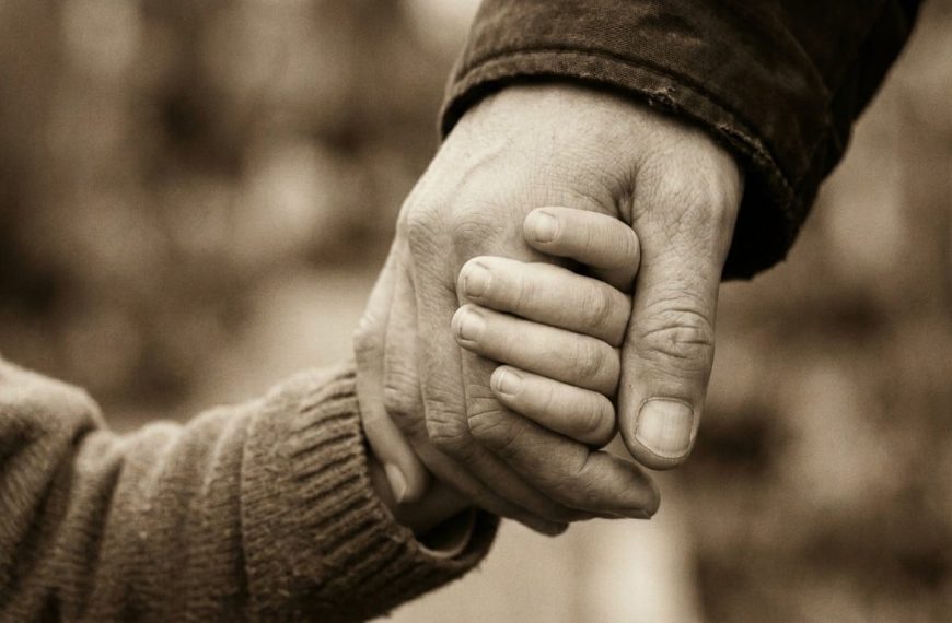 Reforma de Adopciones en Chile: ¿Qué Implica la Suspensión?