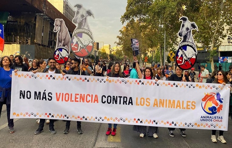 Manifestación animalista en Chile: un llamado urgente por los derechos