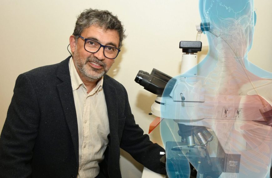 Unión Neuromuscular: El Secreto Detrás de Nuestros Movimientos